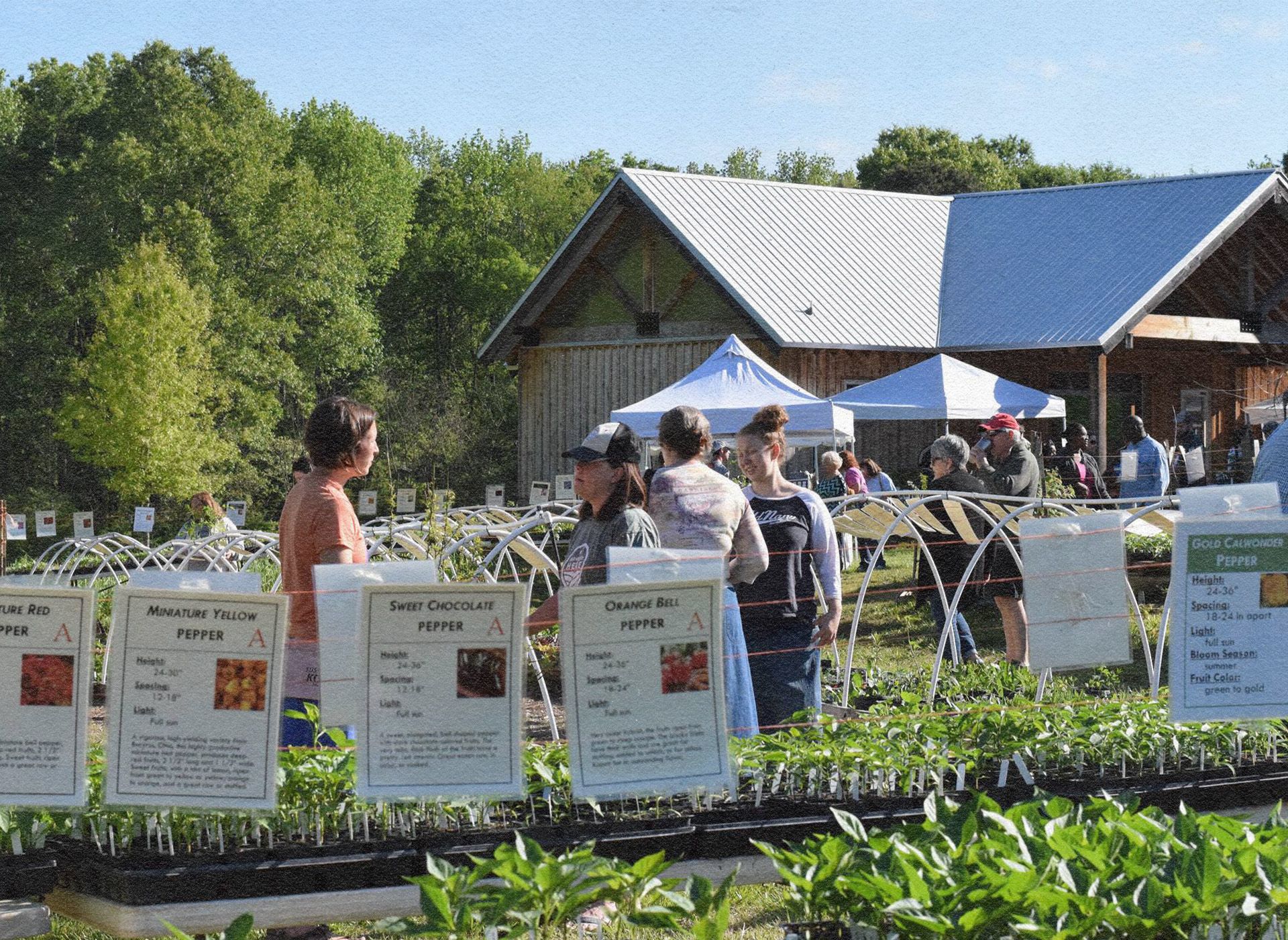 No. 422: Farming in the Middle of the City