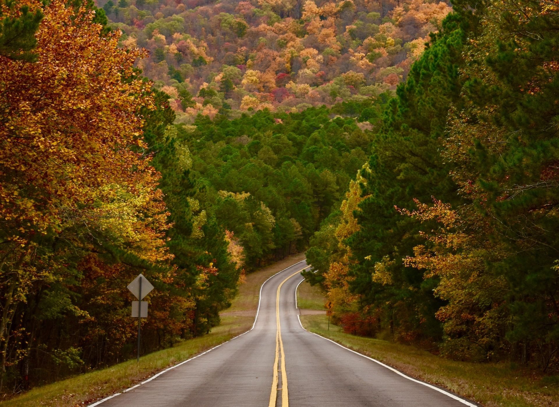 The Best Fall Day Trips