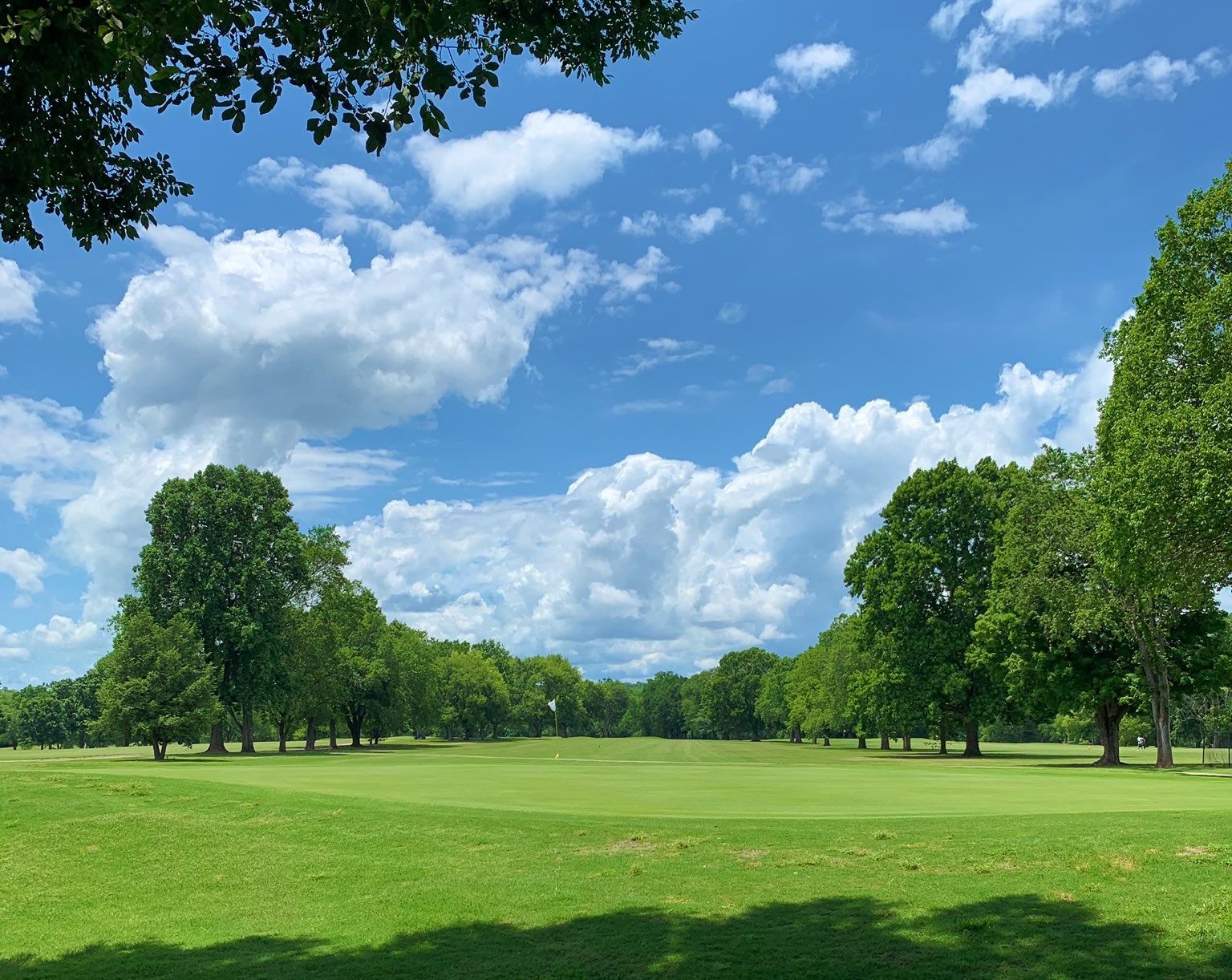 Review: McCabe Golf Course