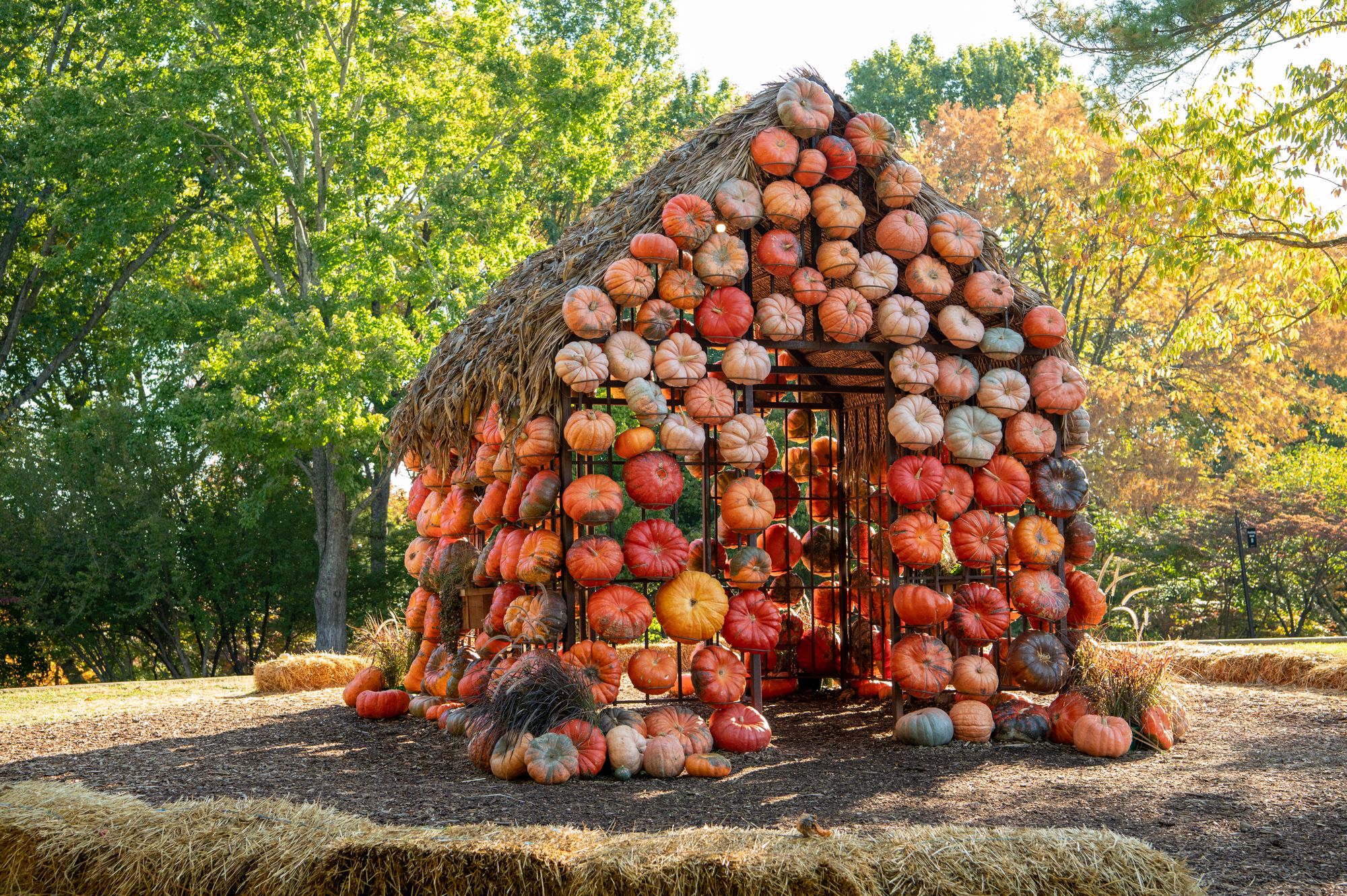 Getting to Cheekwood Harvest