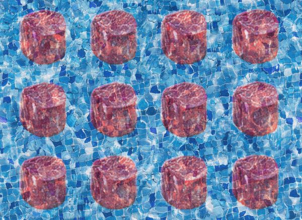 In Defense of Raw Beef